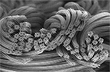 octa_image_01