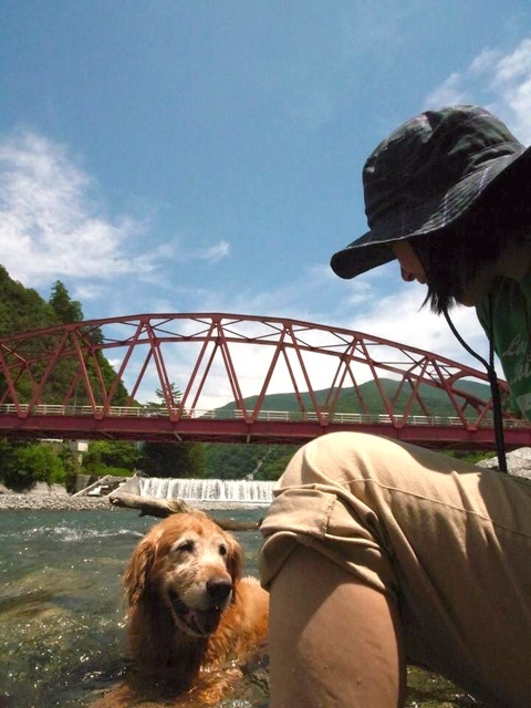 kisokomaraide_07_hachi