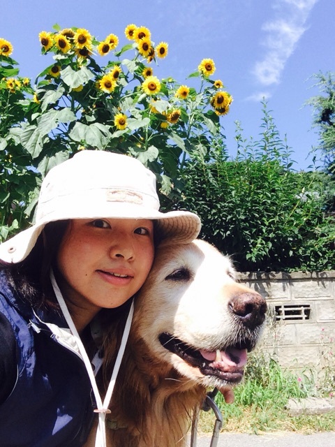 sweets_hachi