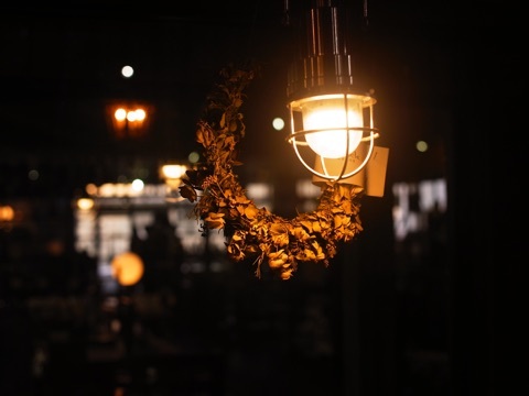 live_otoplus_02