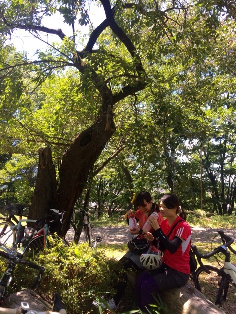 sweetsride_017