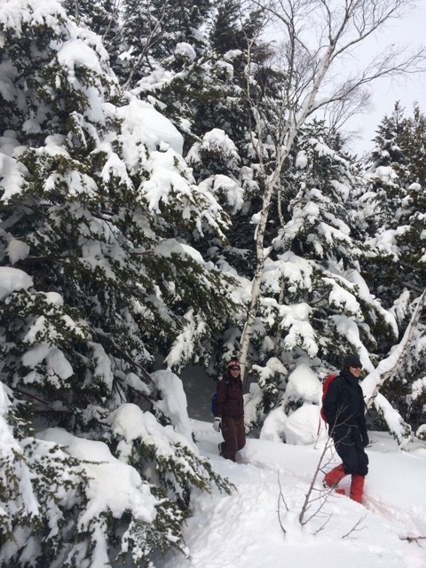 snow_shoe_017