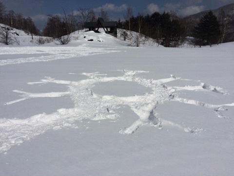 snow_shoe_019