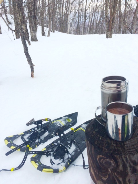snow_shoe_020