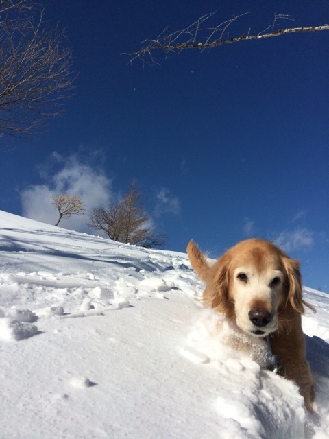 snow_shoe_022