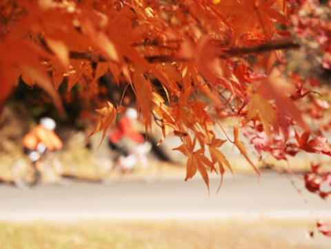 20161106_event11_018