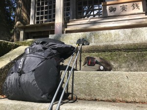 IMG_2019