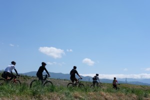 DSCF4654