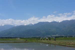 DSCF4831