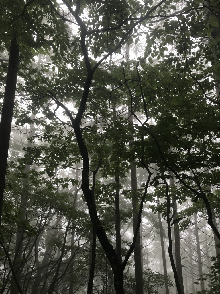 ②
